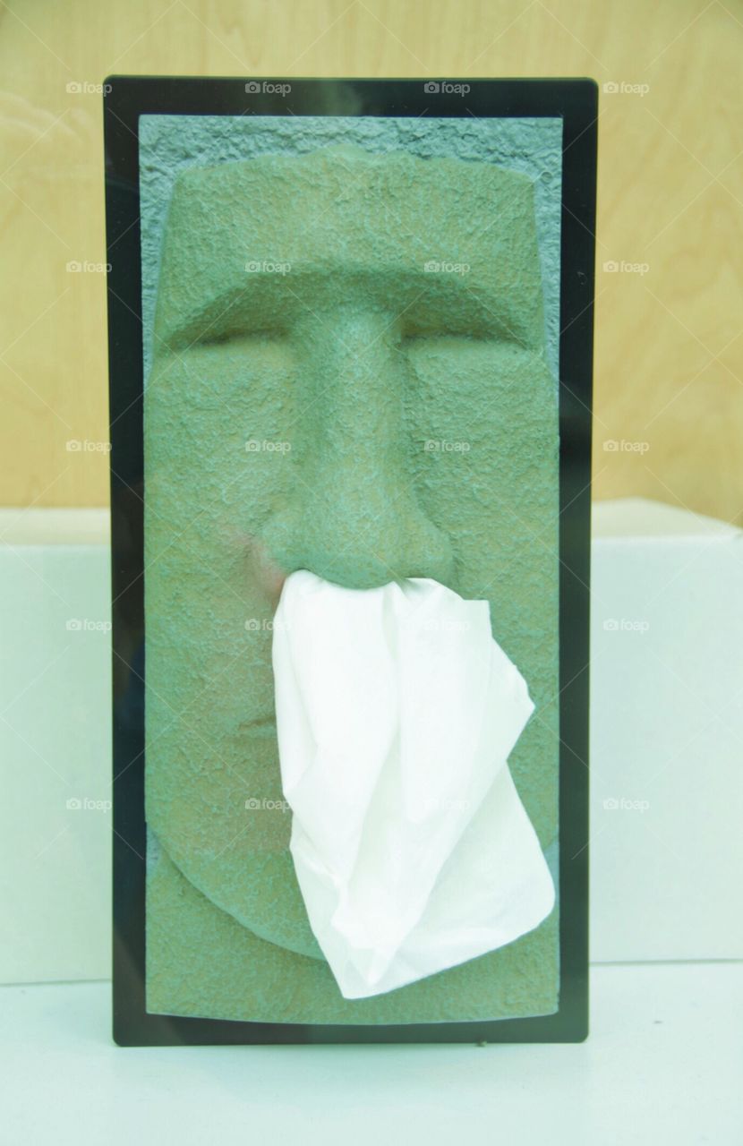 Pop of green easter Island head Kleenex dispenser