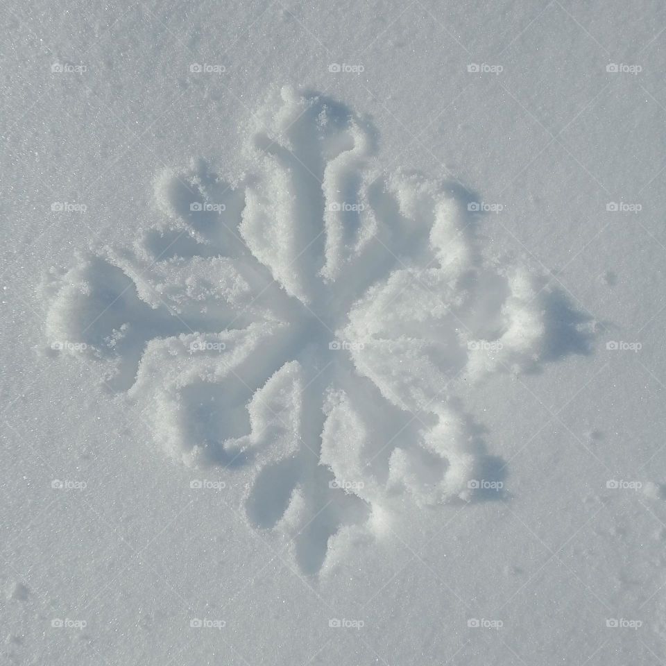 Not quite perfect, but still a snowflake :)βοΈ I decided to be an artist, so to speak, using a snow fur coat as a canvas, and an icicle became my handy brush ππ₯Άπ¨οΈπ·π€