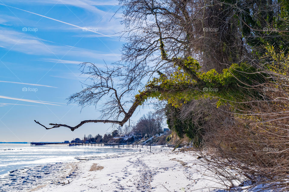 Frozen beach on Chesapeake Bay