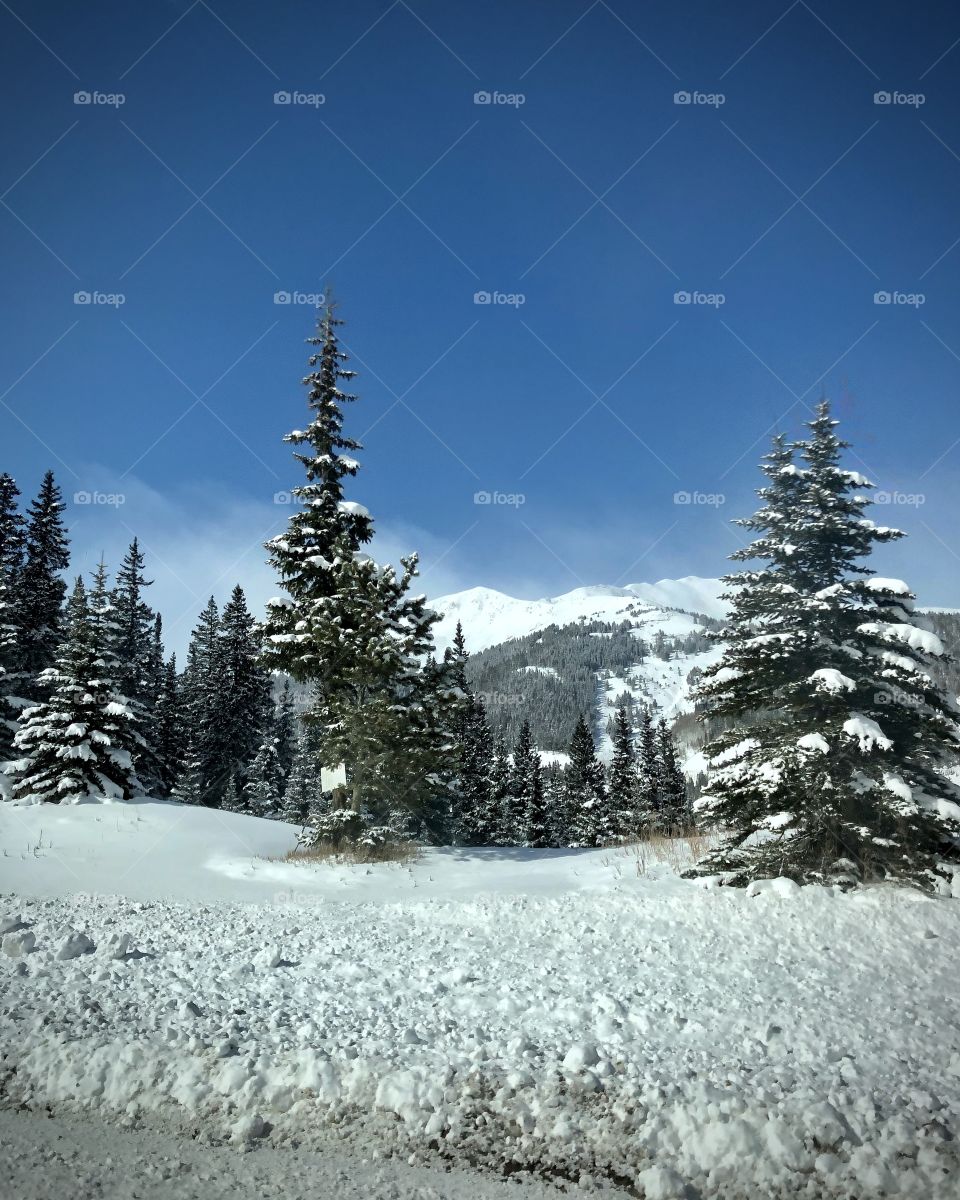 Winter in the mountains of Colorado with clear blue skies.