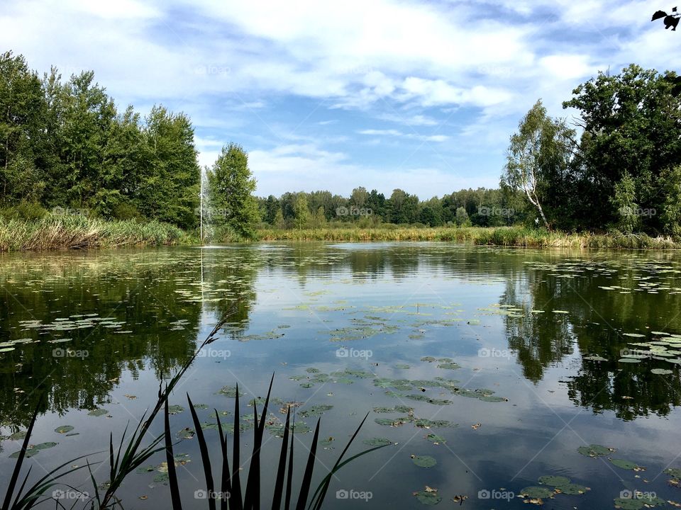 Lake reflections 