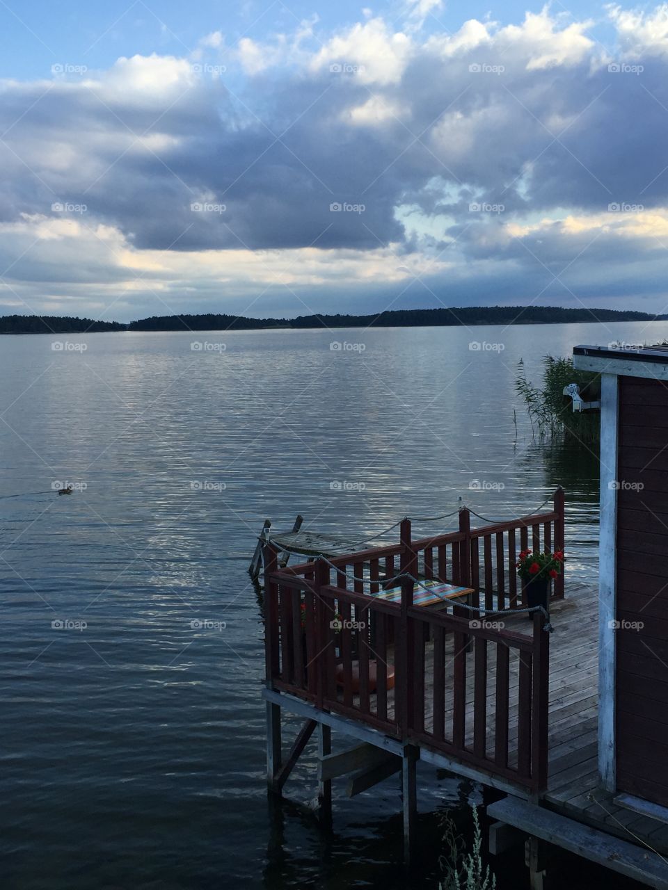 Nordic view, Kolmården, Sweden. Summer evening view over the water, Kolmården, Östergötland, Sweden