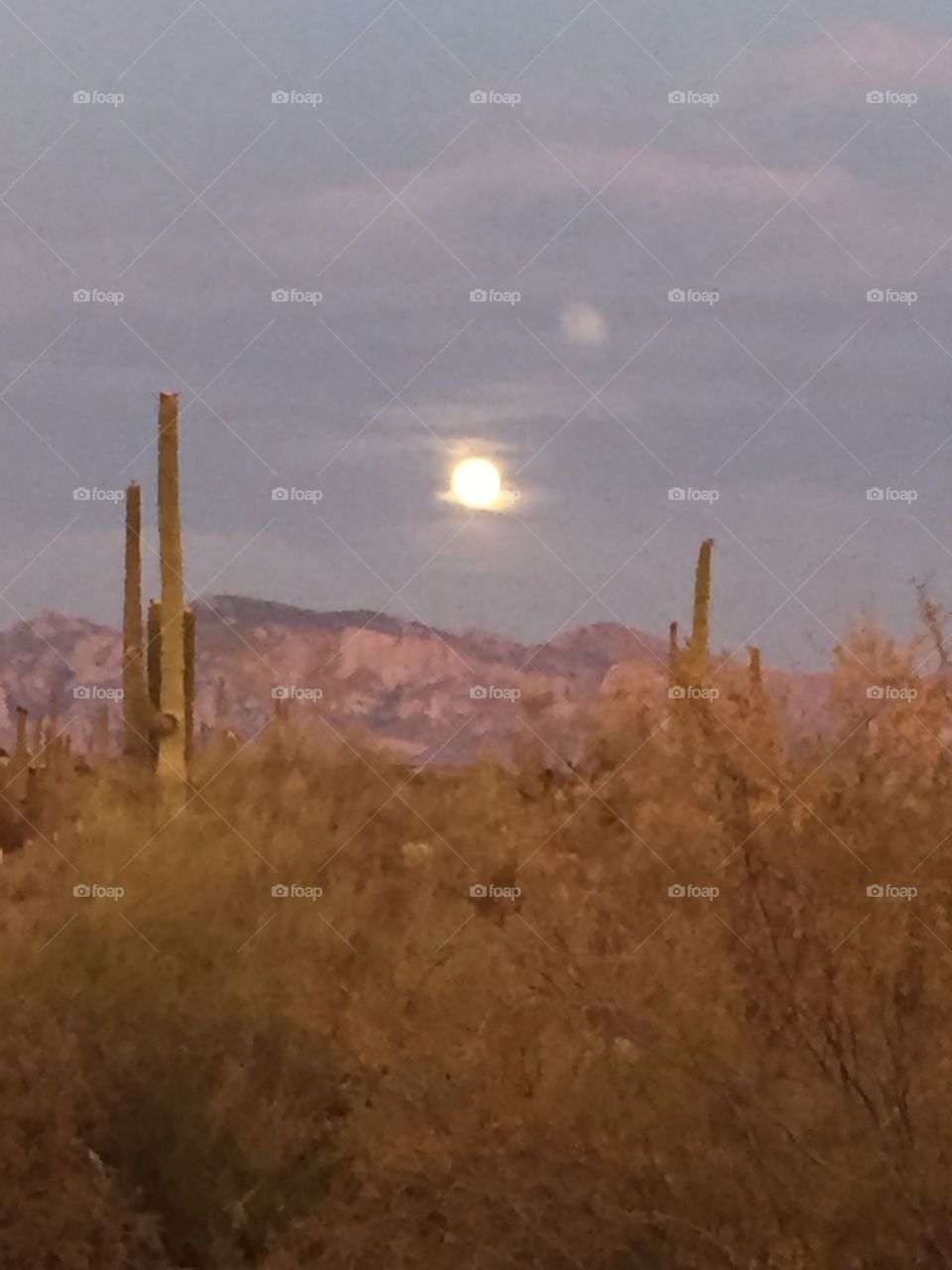 Moon rise over desert