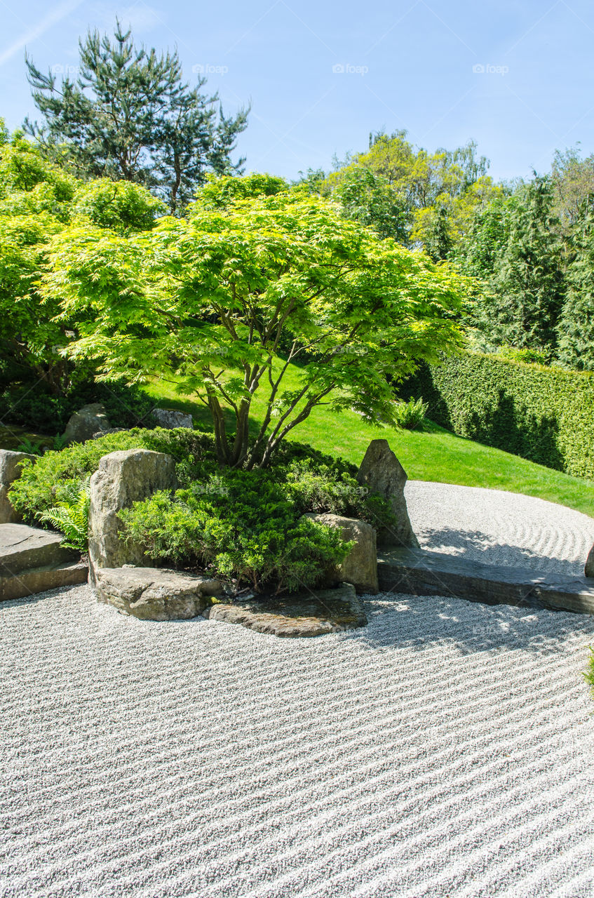 traditional japanese zen garden