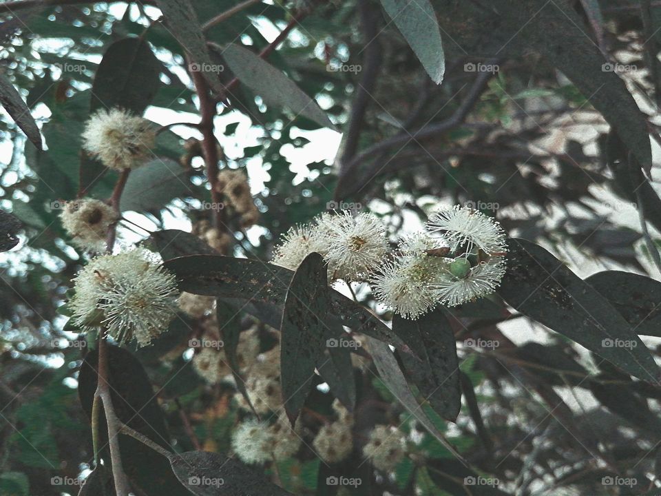 Beautiful nature !!!