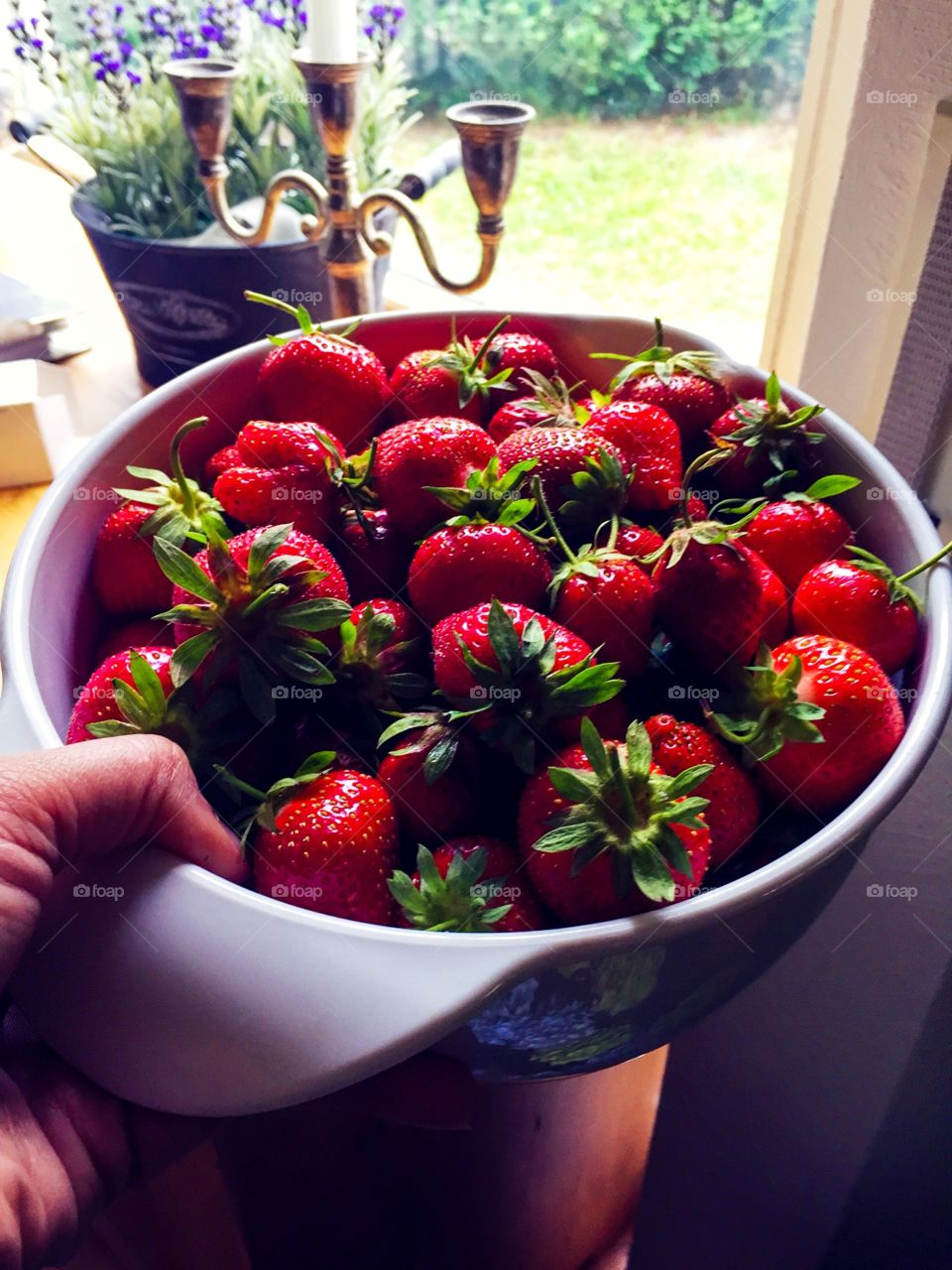 Hand holding a basket of strawberries, fresh and sweet. Standing at the window with purple flower pots