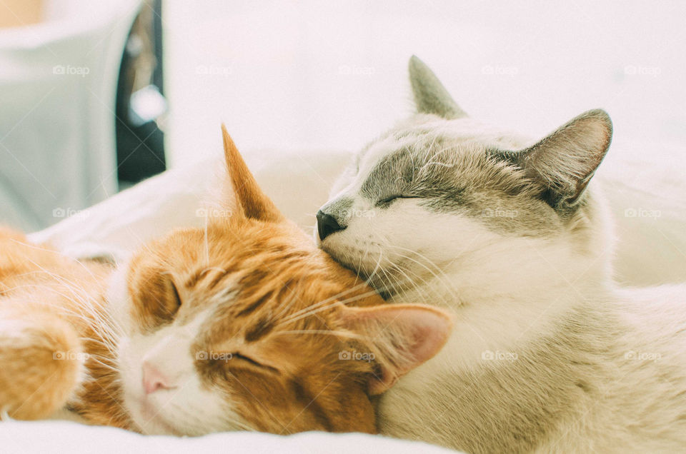 So sweet to sleep together