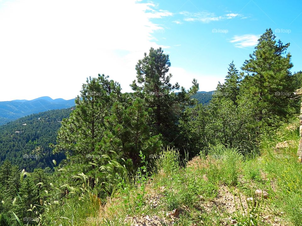 Mountainside in Colorado.