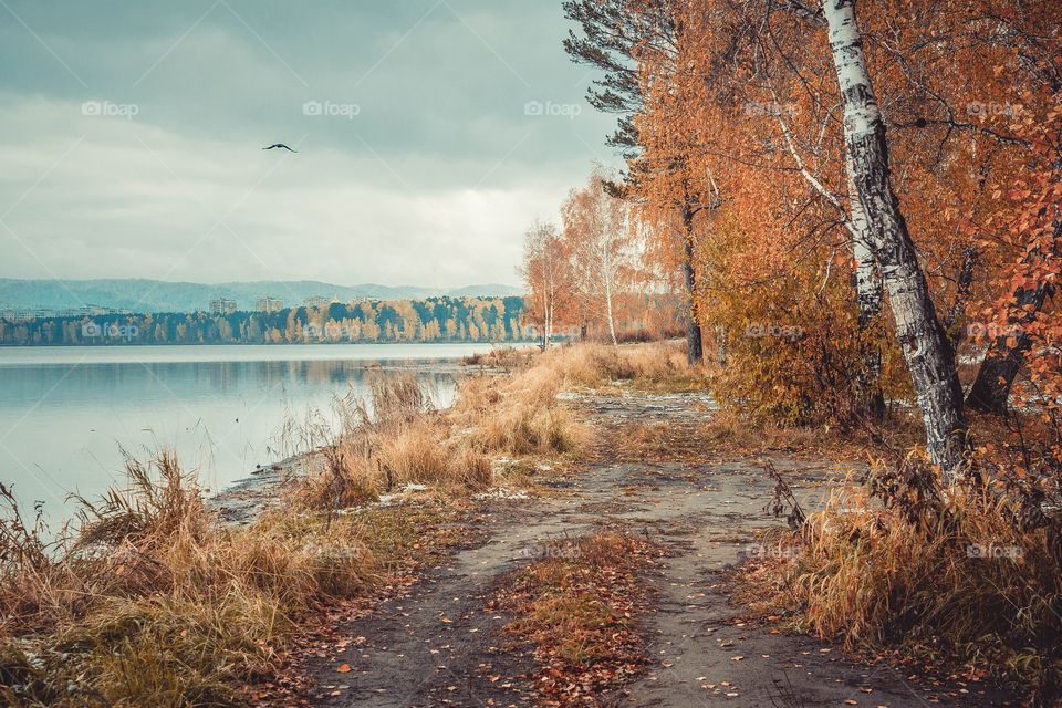 Scenic view of lake in autumn season