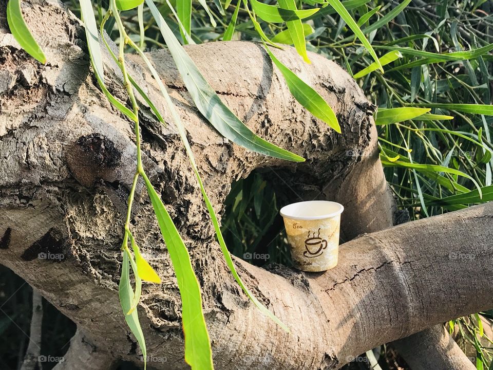 Coffee break outside before the rain is coming.