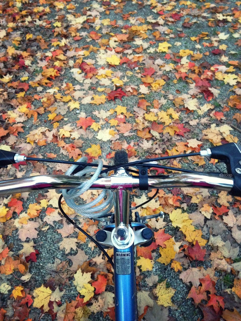 Fall bike riding 