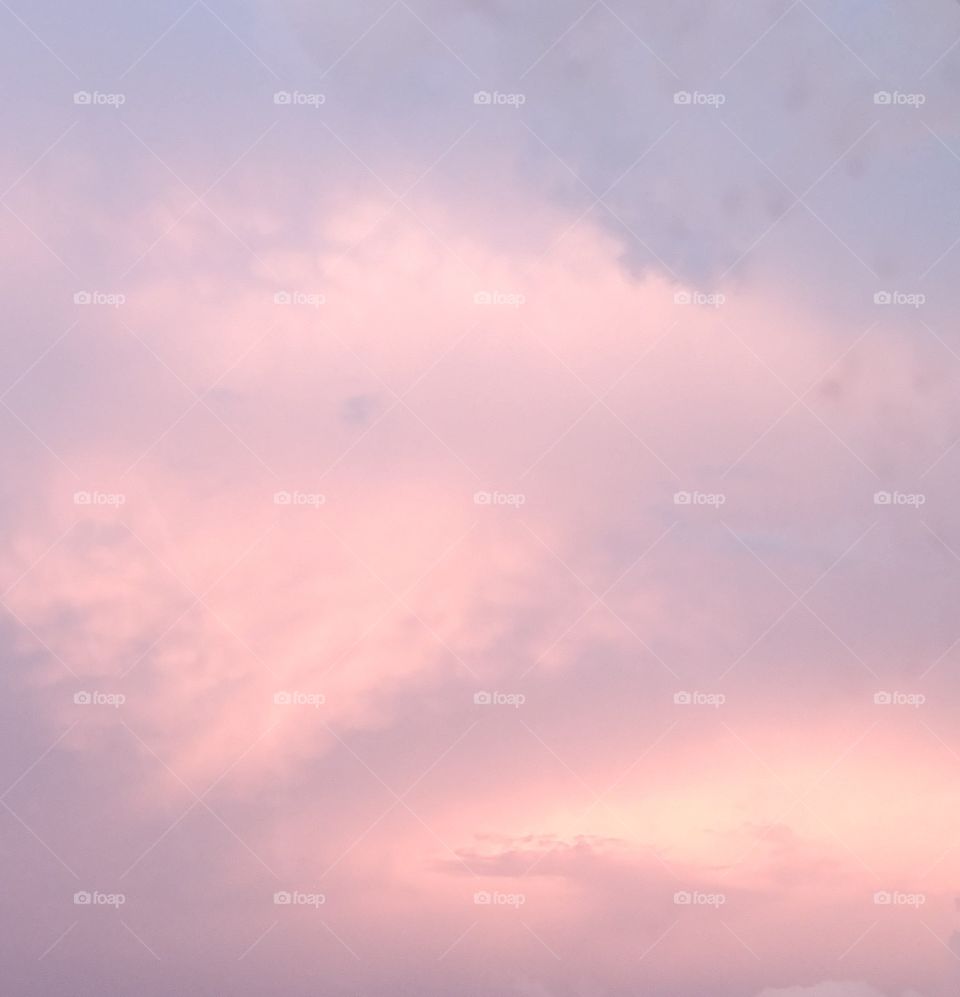Pink clouds in the sky