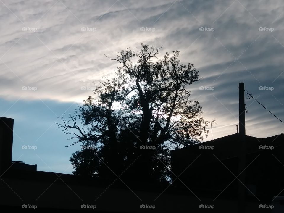 silhouette of buildings against a clouded sky with tree tops