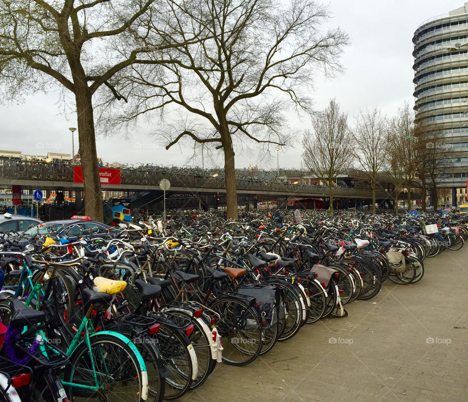 Wheel, Bike, Vehicle, City, Street