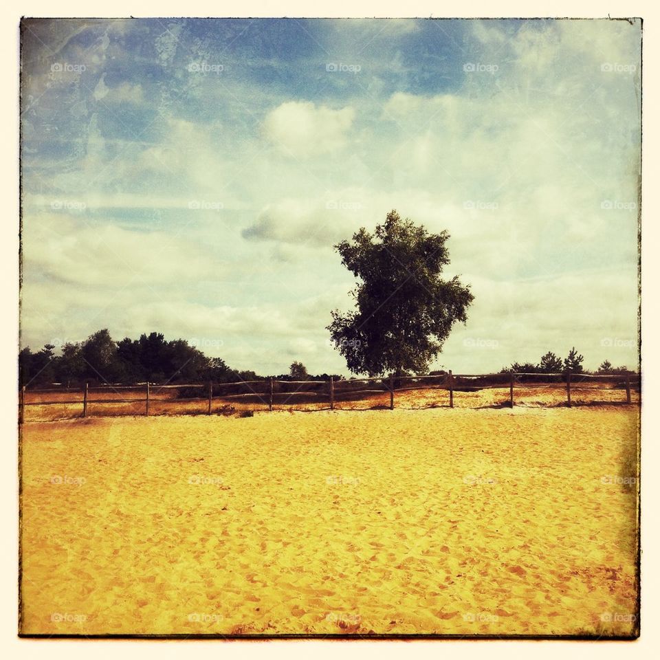 Frensham surrey