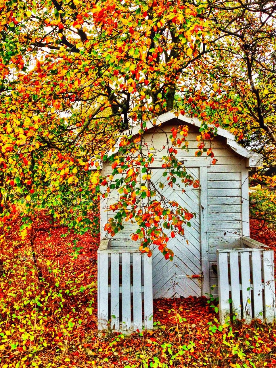 Autumn Beach Hut in yellow