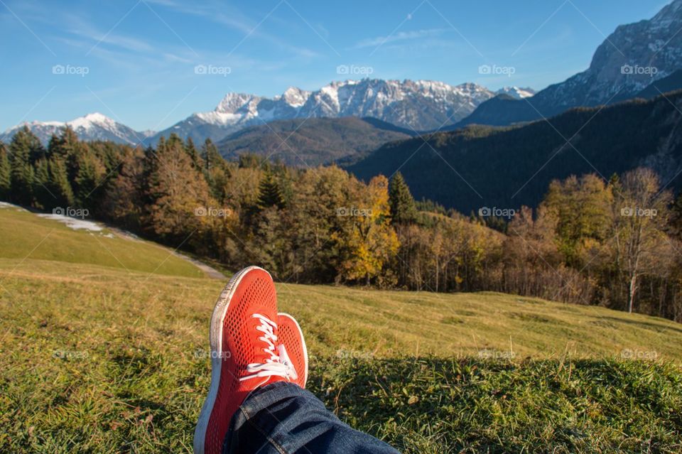 Pumas in the alps