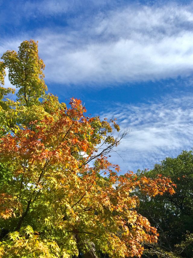 beautiful autumn day