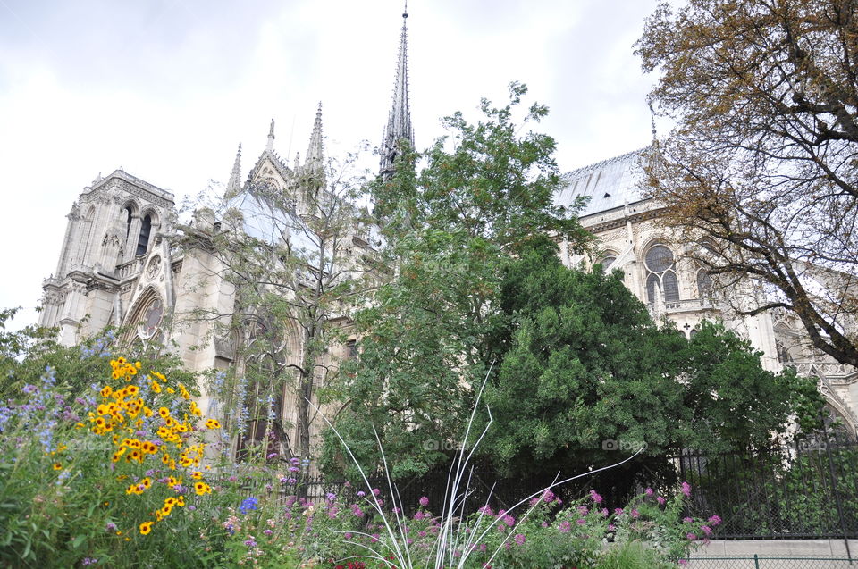 Notre Dame de Paris