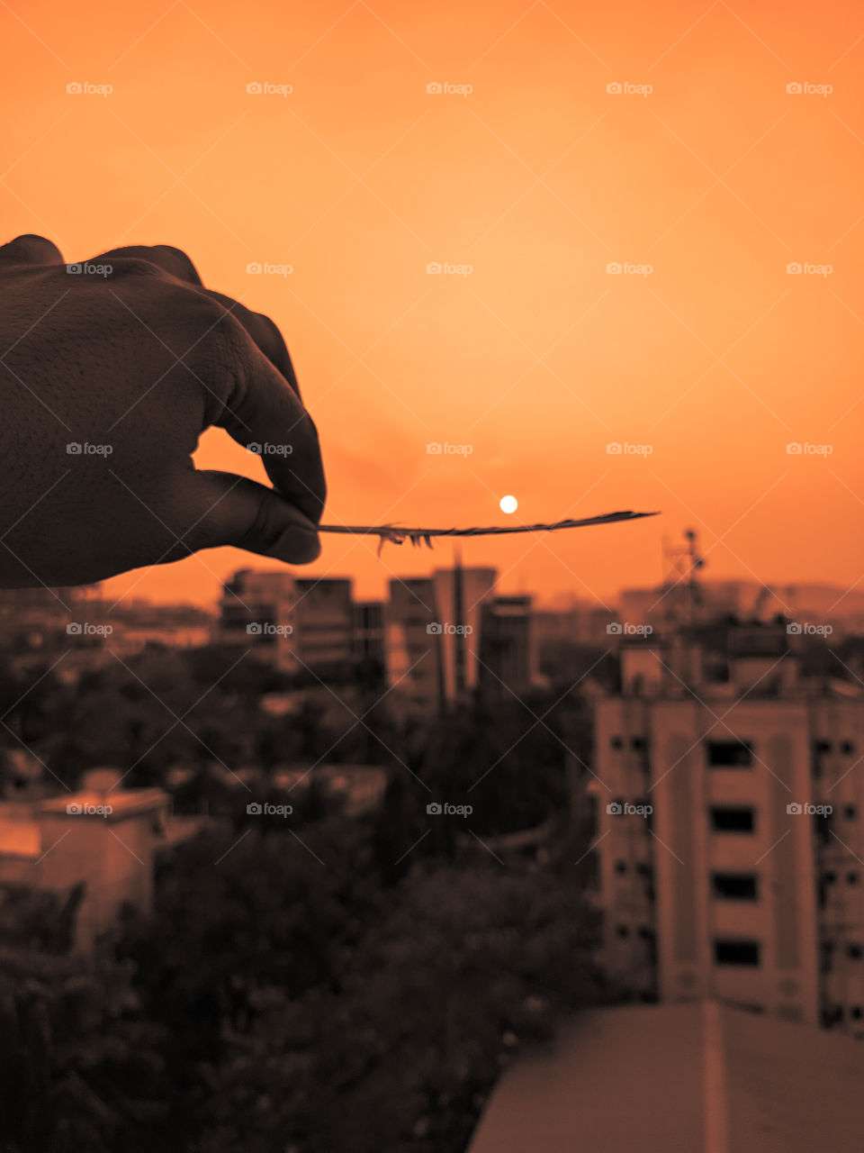 Sunrise- Watching a rising Sun from top is always an amazing scene.
exif-
f/1.8   ISO108   1/1600sec.
Location-
Mumbai, India