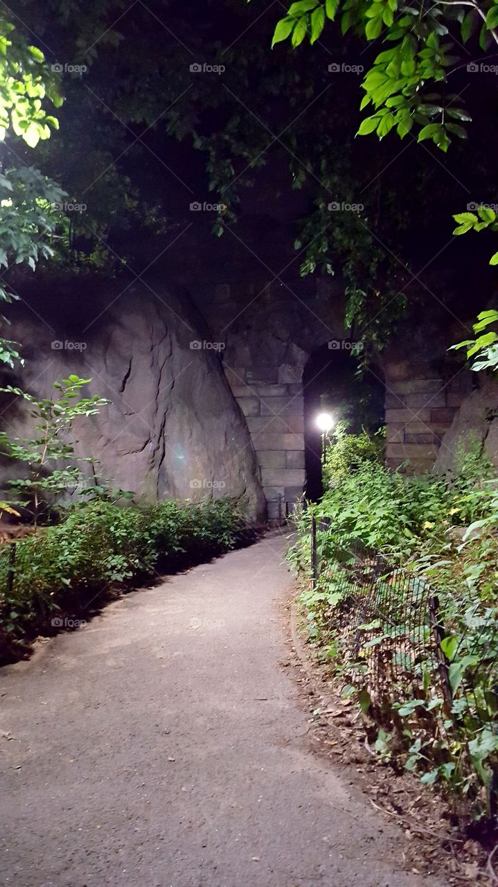 Nighttime in Central Park