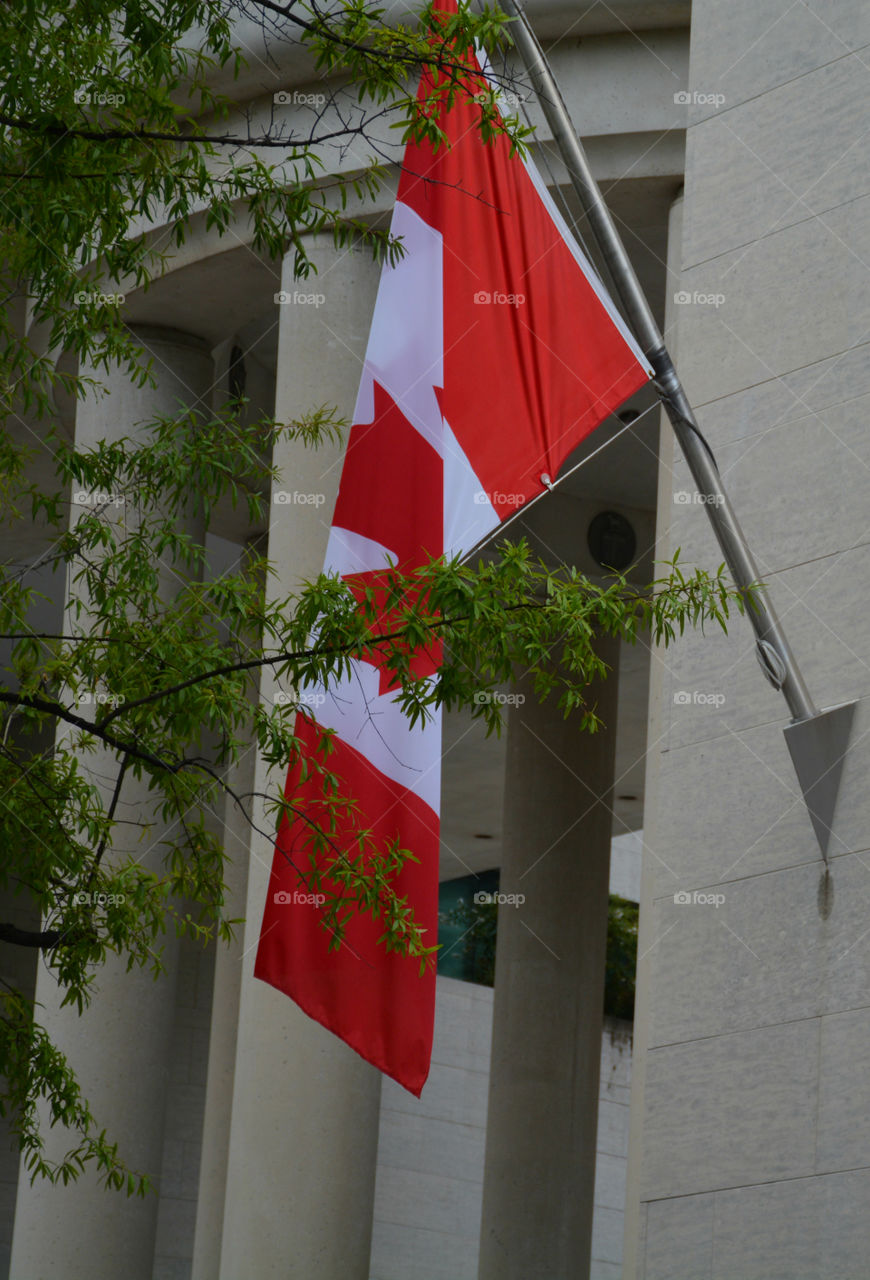 Oh Canada! A Canadian flag hangs from the building! Oh Canada!!
