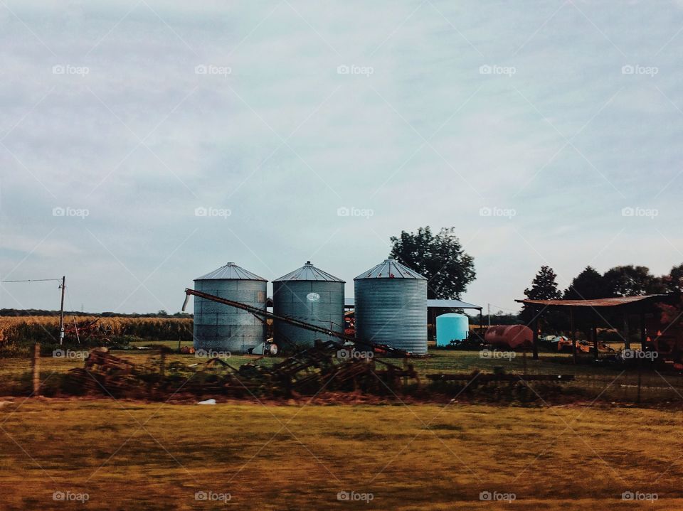 Silos in the field of corn 