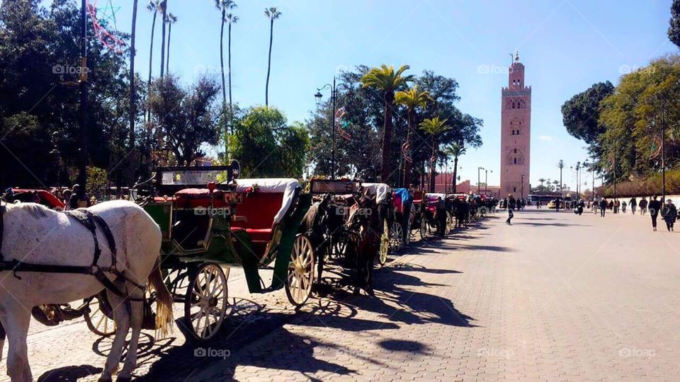 Welcome to Marrakesh.