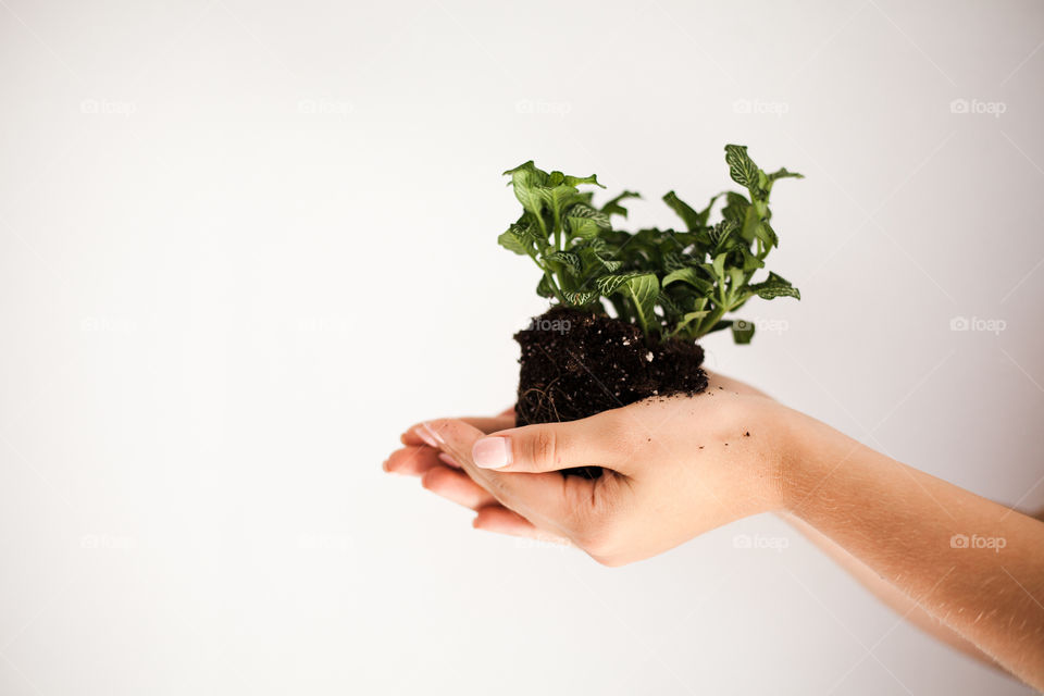 woman holding ground with plant. White 