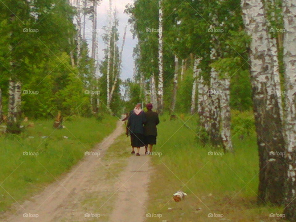 Rear view of two women walking