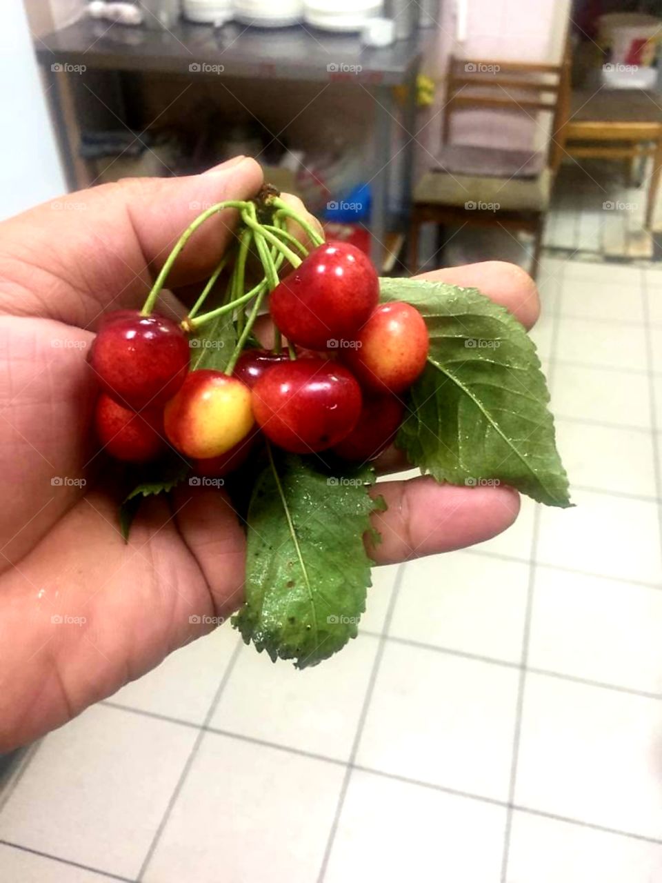 Holding fruits with leafs