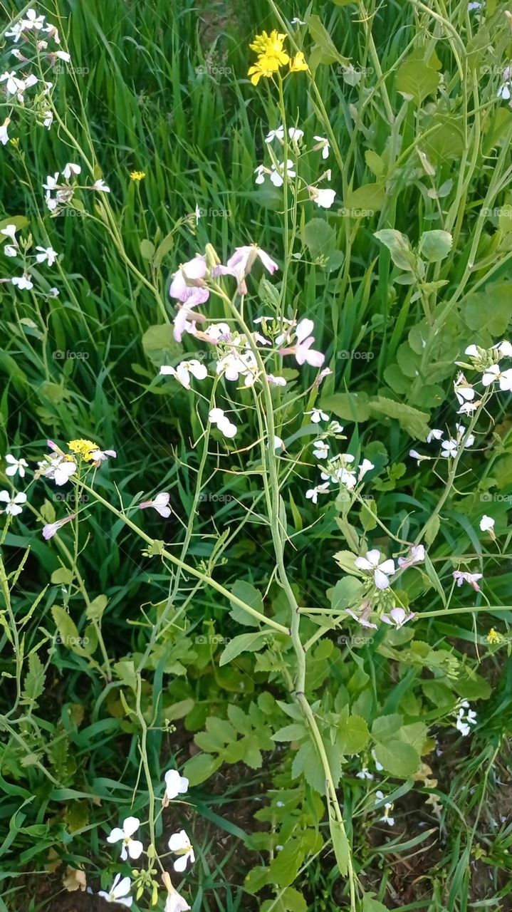 The breeze at dawn has the secret to tell you. Don't go back....