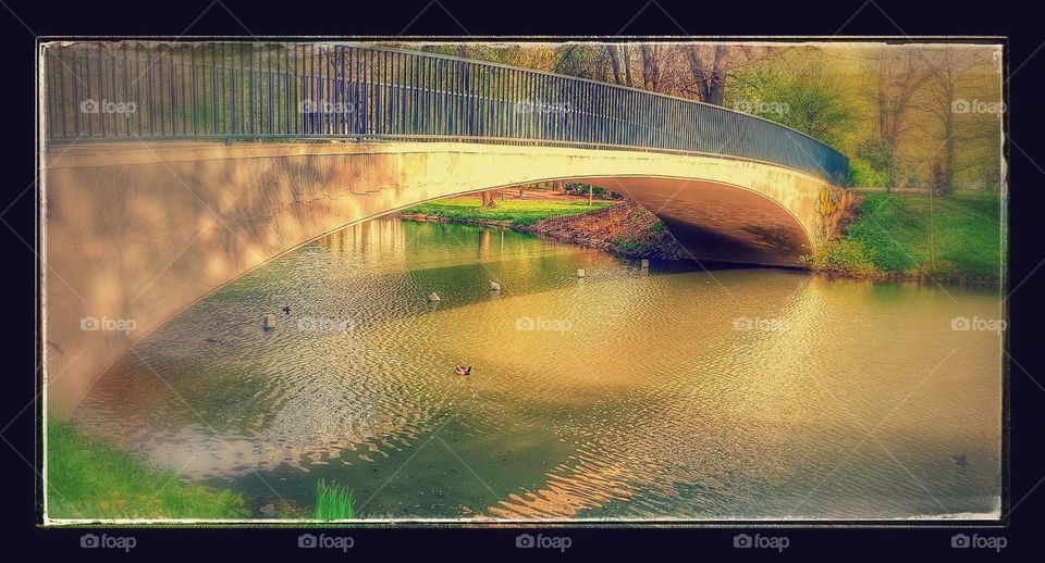 Brücke und das Wasser