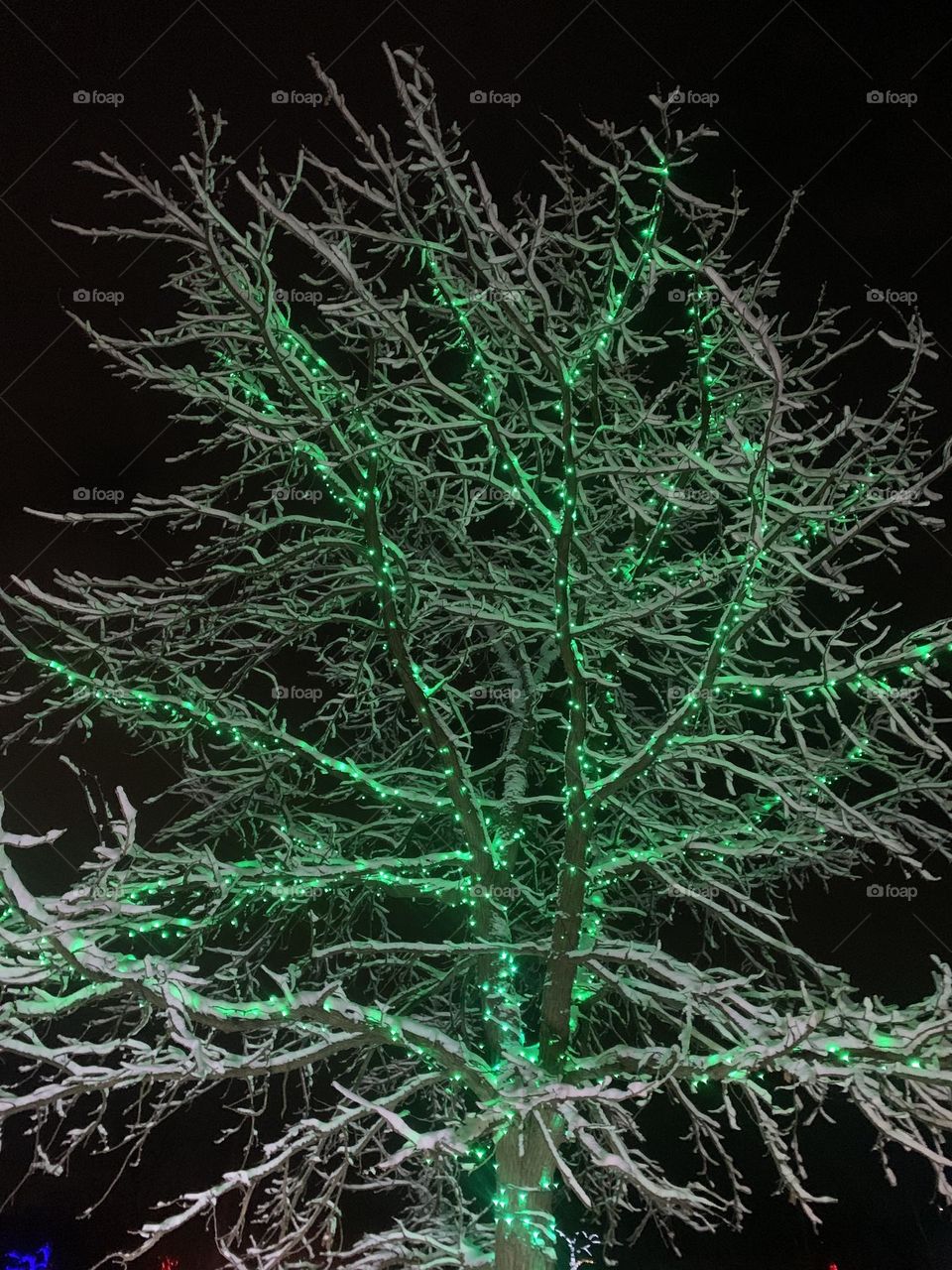 Festival of Lights tree in Niagara Falls , Canada 