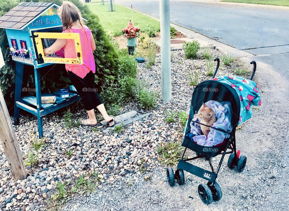 Darling picture of little girl getting book from reading library with her orange tabby kitty sitting in his stroller. 