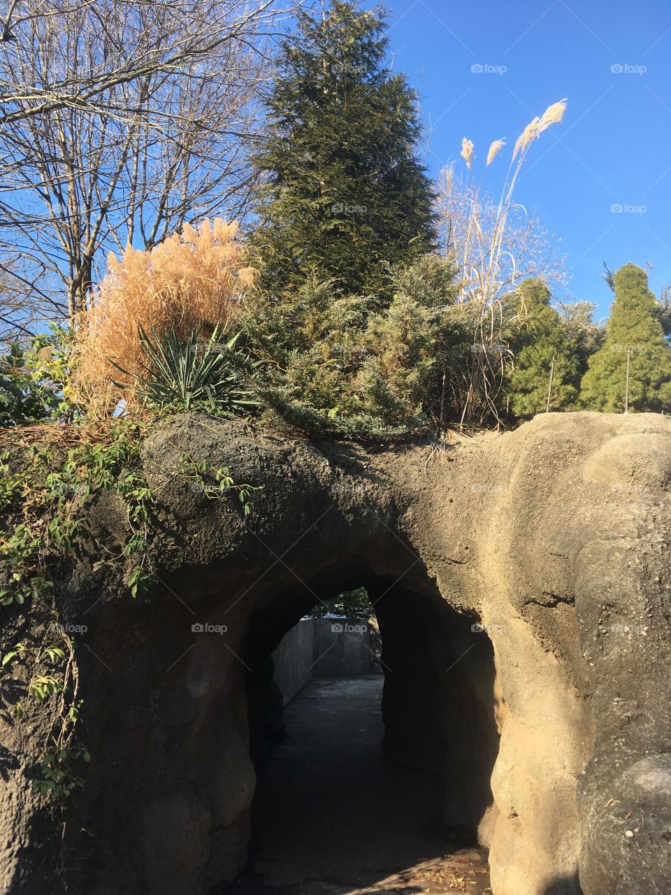 Entrance of cave in public garden