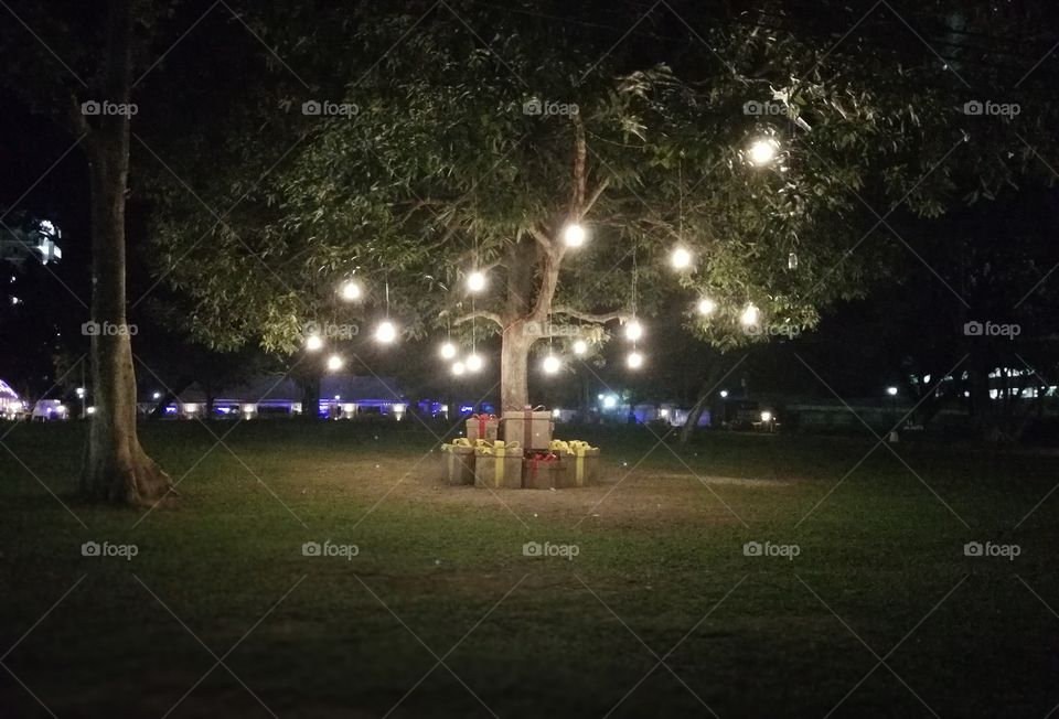 Knowledge Creativity Strategy Advocacy