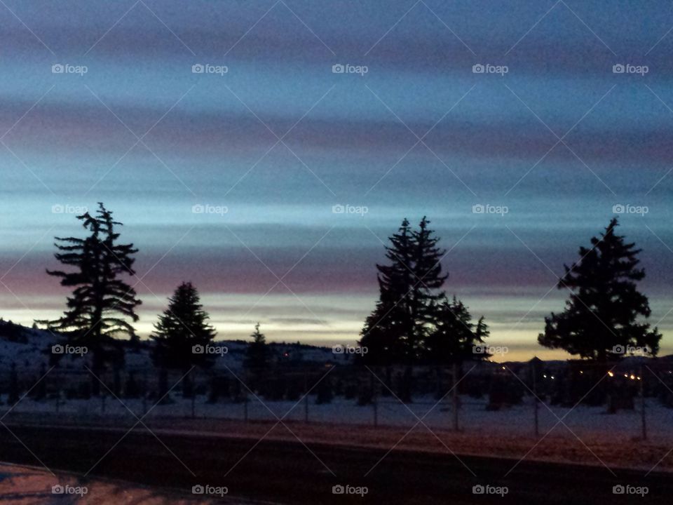 Giants in the cemetery
