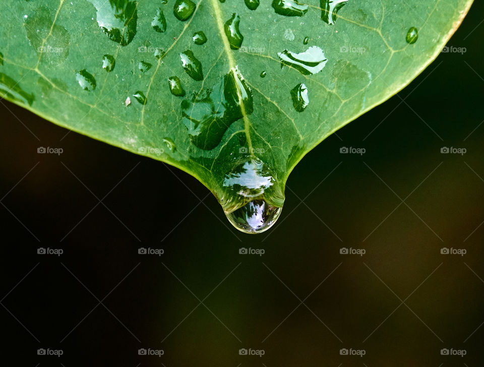 Macro - Single drop of rain water - reflection of sun sky