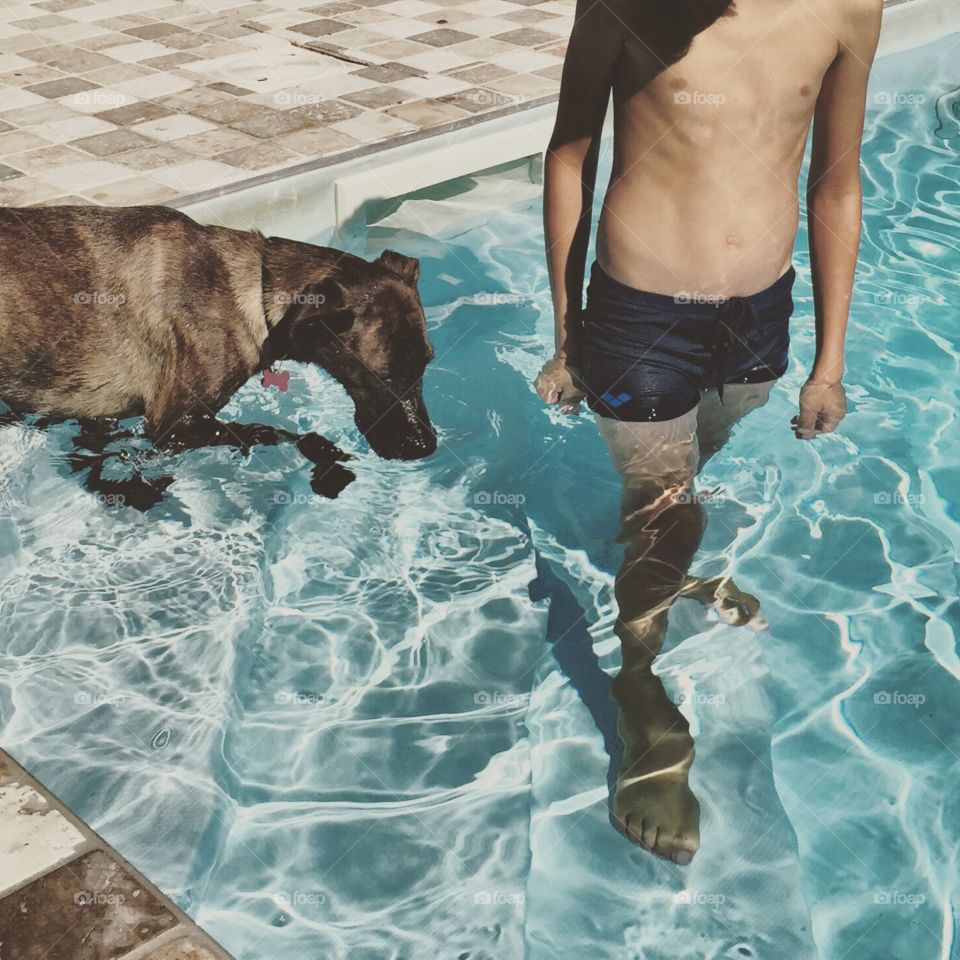 Kid and dog in swimming pool 