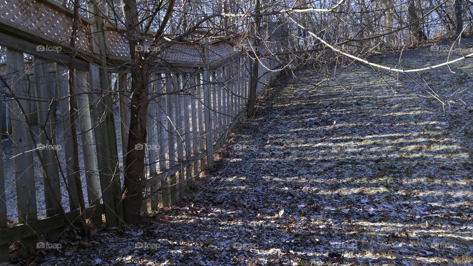 Fence Stripes on the Hill