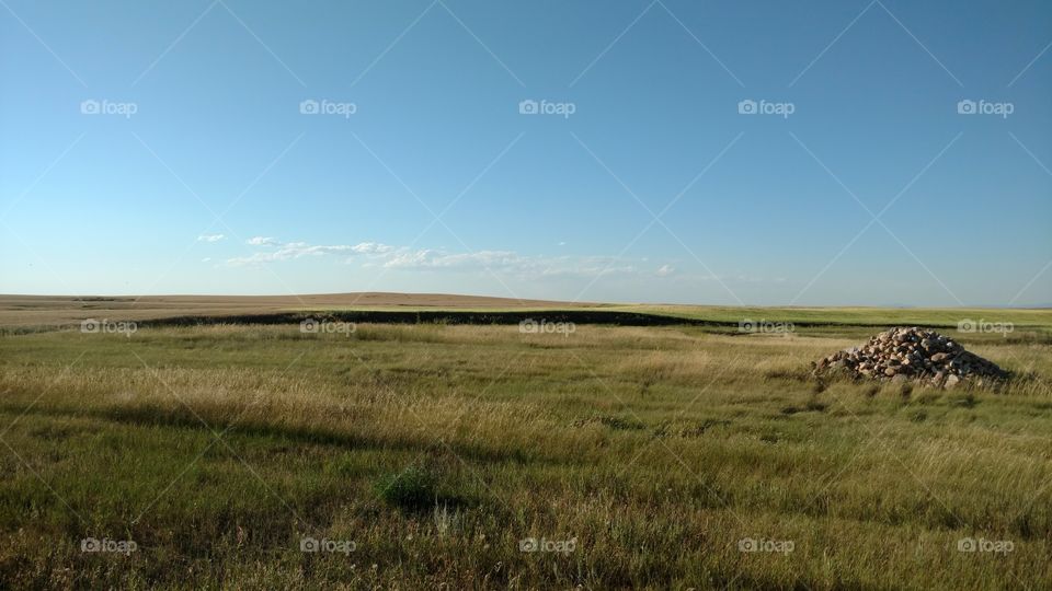 Landscape, No Person, Sky, Field, Cropland