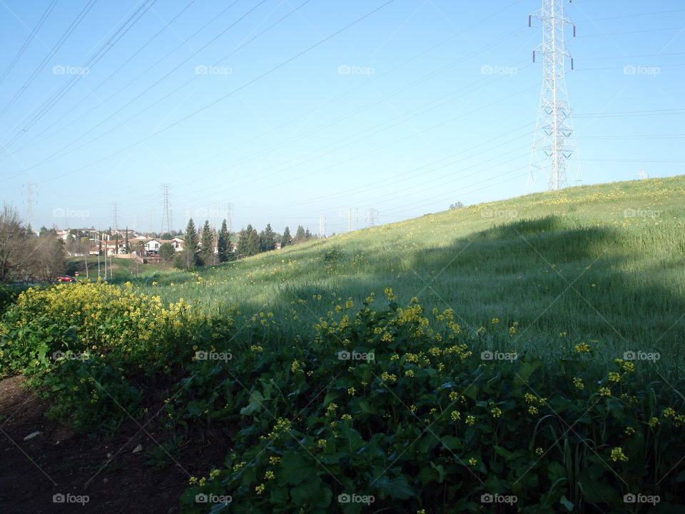 A sunny landscape lights up your face with joy.