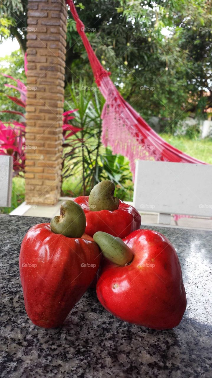 Caju vermelho