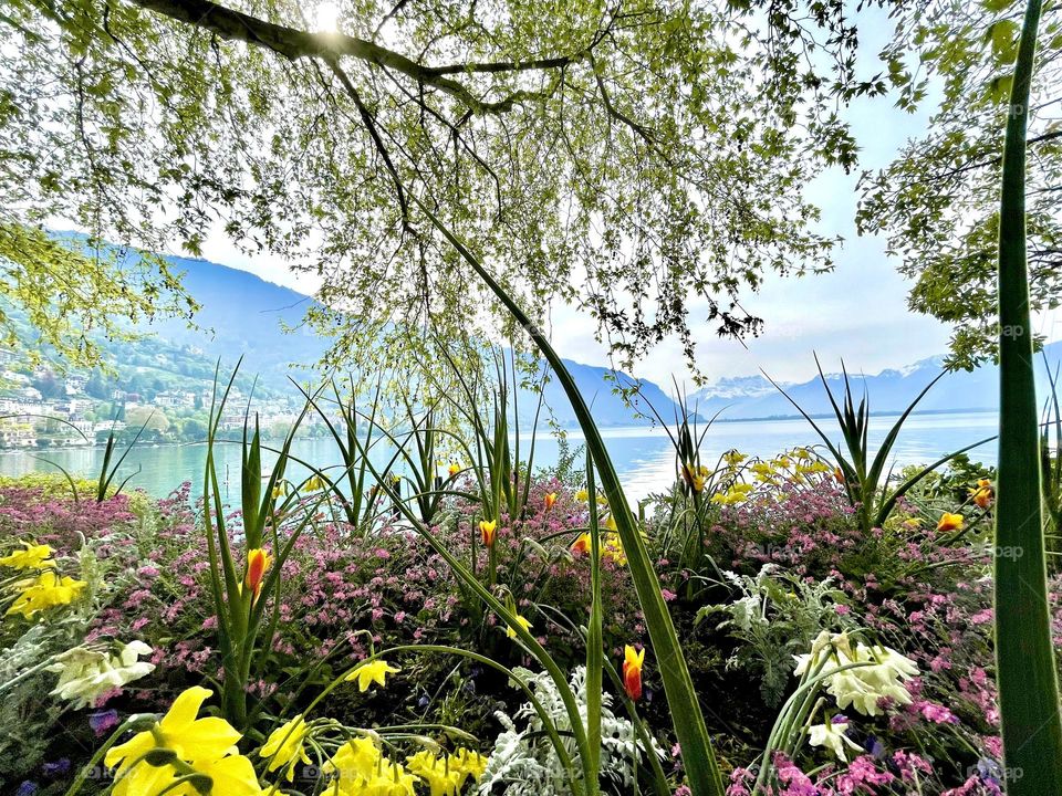 Lake, in Montreux