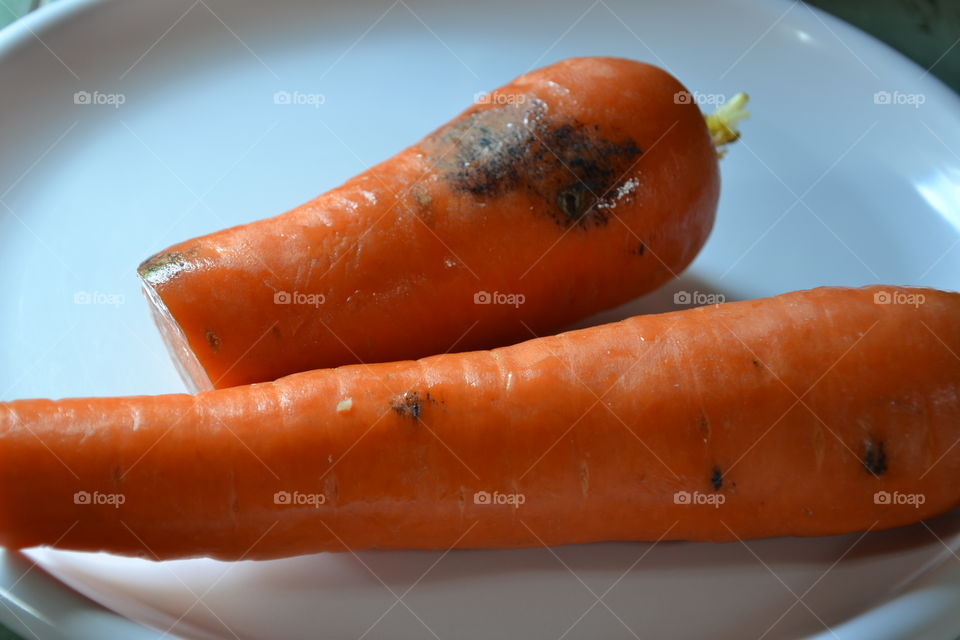 carrot