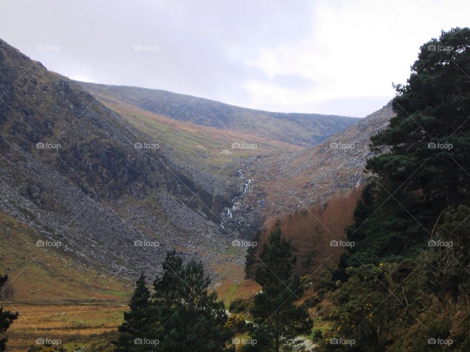 Wicklow