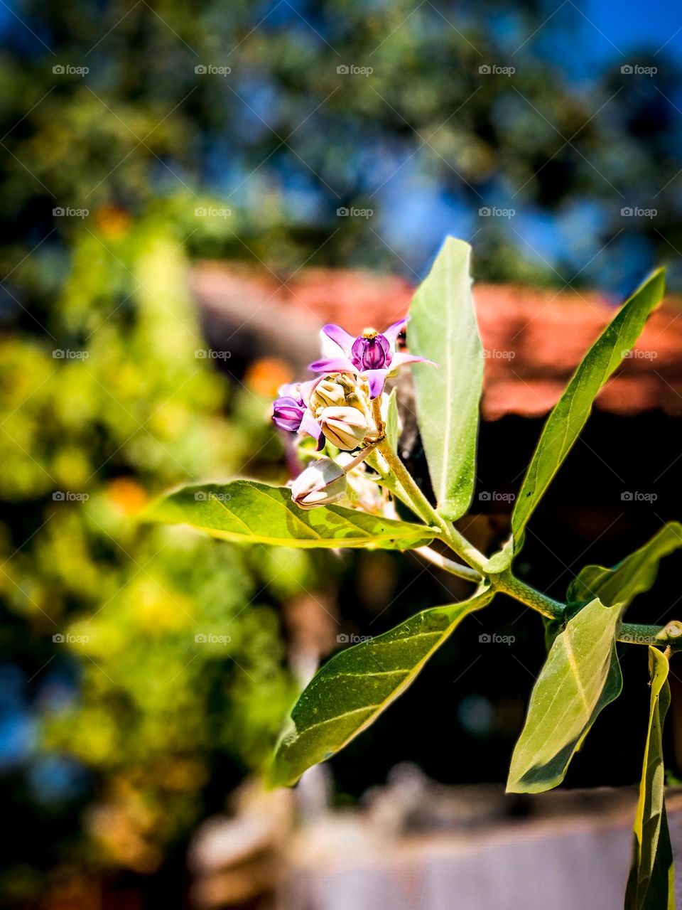 If you love nature, you will find beauty anywhere.