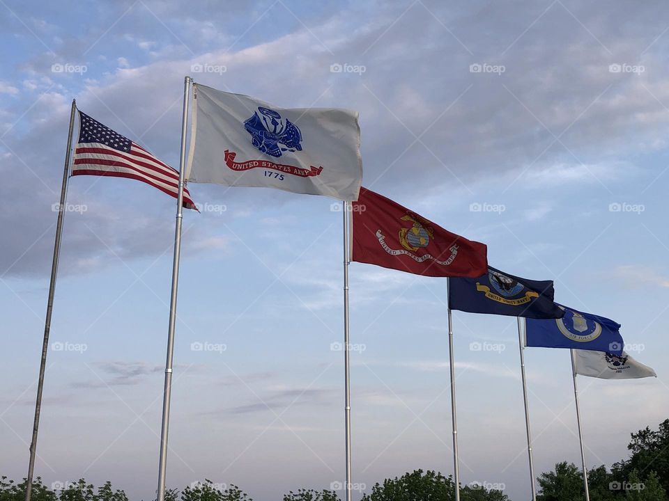 United States Military Flags Blowing in the Wind