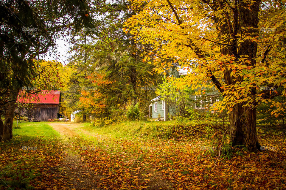 Farm house in autumn